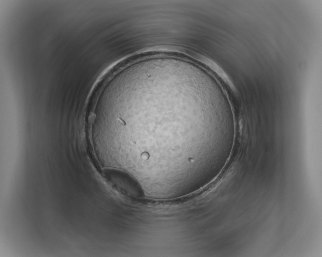 X0000113110972200909041243