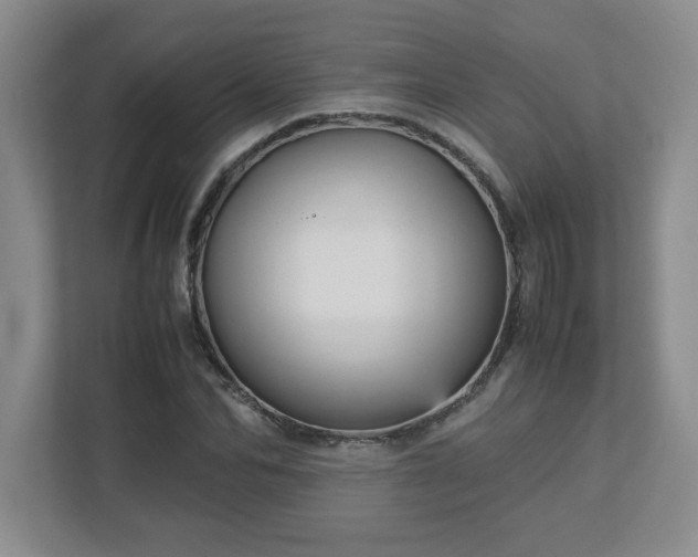 X0000113110974200909041243