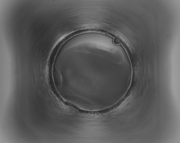 X0000113110975200909041243