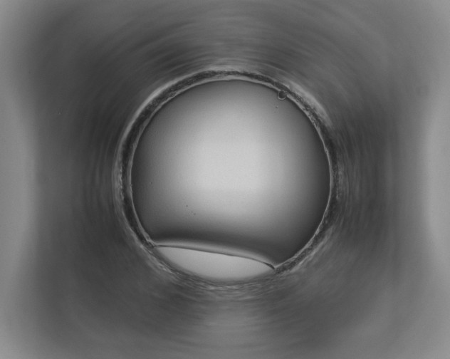 X0000113110976200909041242