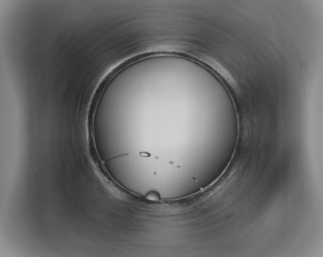 X0000113110980200909041242