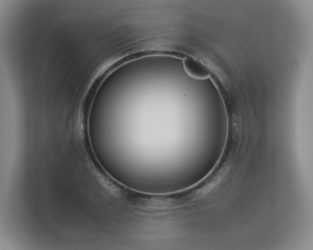 X0000113110981200909041242