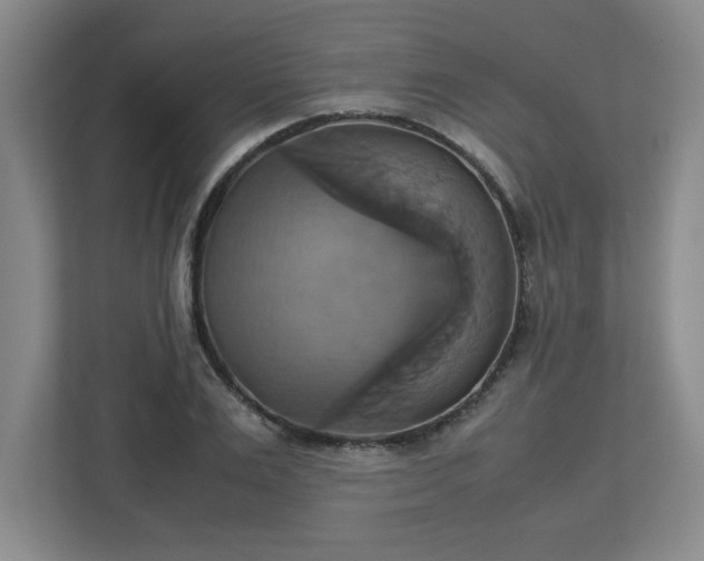 X0000113110983200909041242