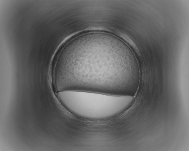 X0000113110984200909041242