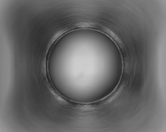 X0000113110986200909041242