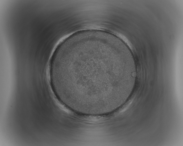 X0000113110987200909041242
