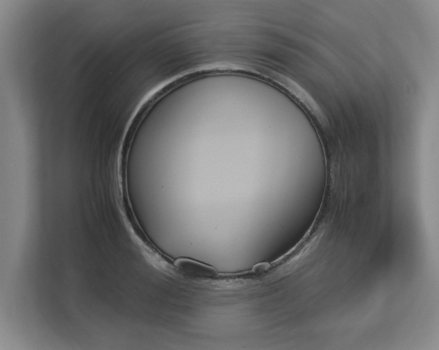 X0000113110988200909041242