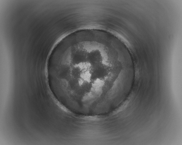 X0000113110990200909041242
