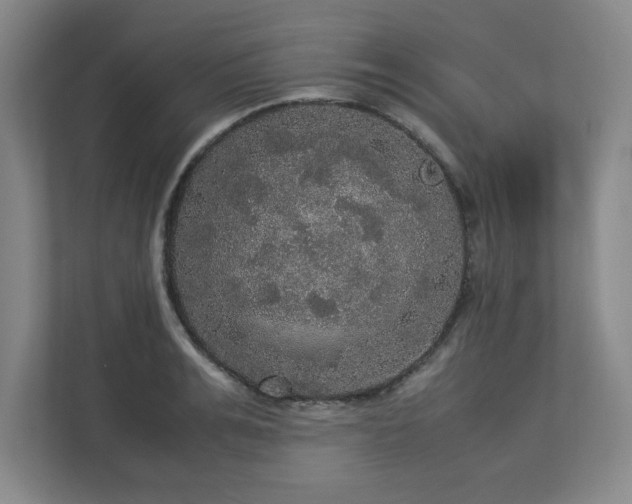X0000113110991200909041242