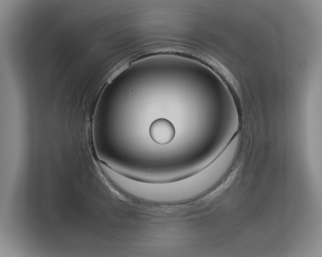 X0000113110993200909041242