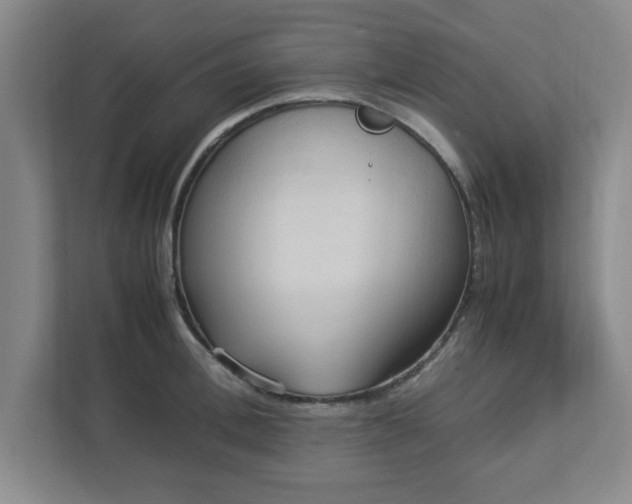X0000113110996200909041242
