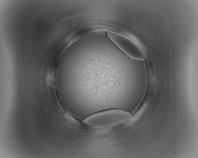 X0000113111001200909041242
