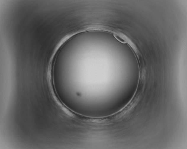 X0000113111005200909041242