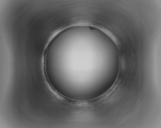 X0000113111006200909041242