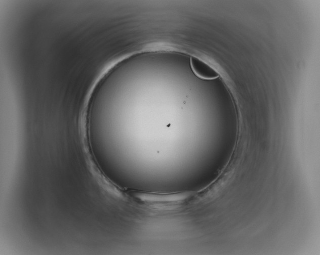 X0000113111008200909041242