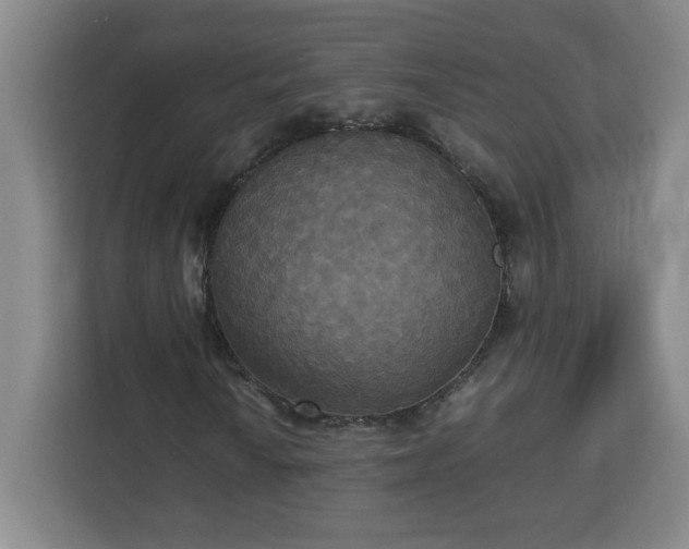 X0000113111010200909041241