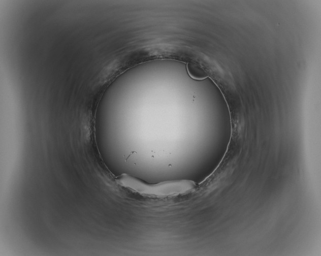 X0000113111012200909041241