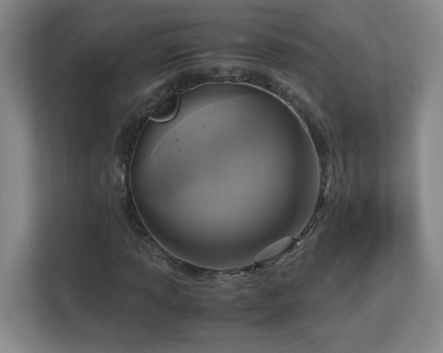 X0000113111013200909041242
