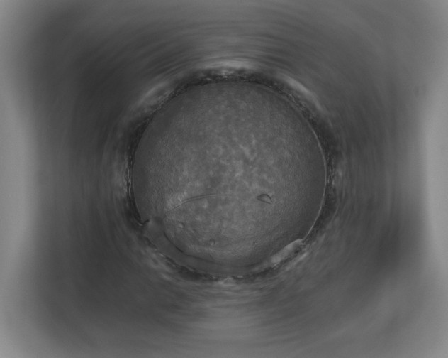 X0000113111014200909041242