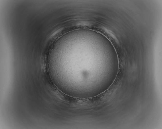 X0000113111015200909041242