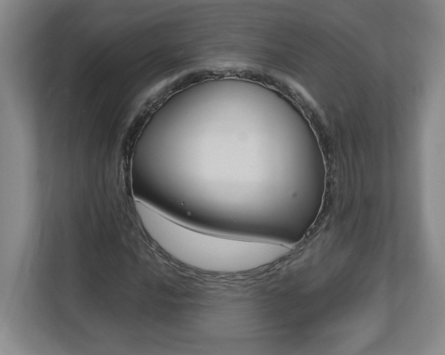 X0000113111016200909041242