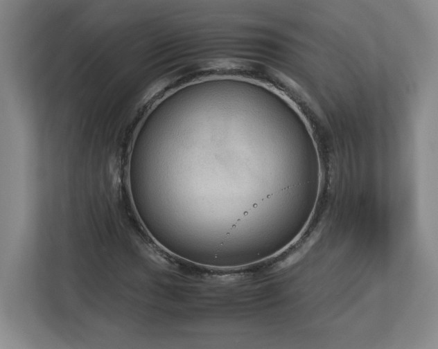 X0000113111017200909041242