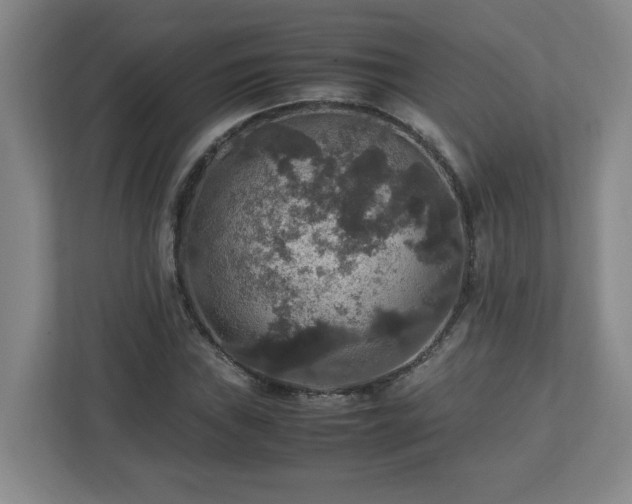 X0000113111019200909041242
