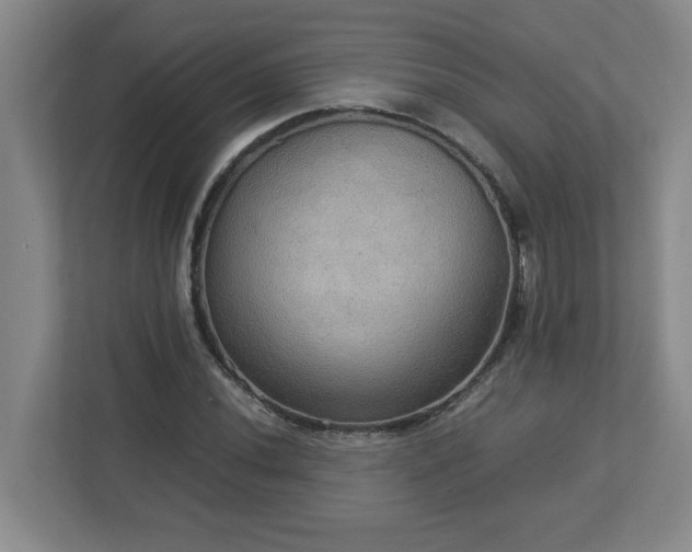 X0000113111020200909041242