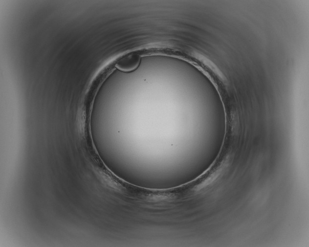 X0000113111021200909041242