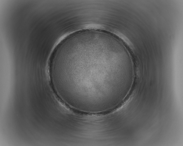 X0000113111022200909041242