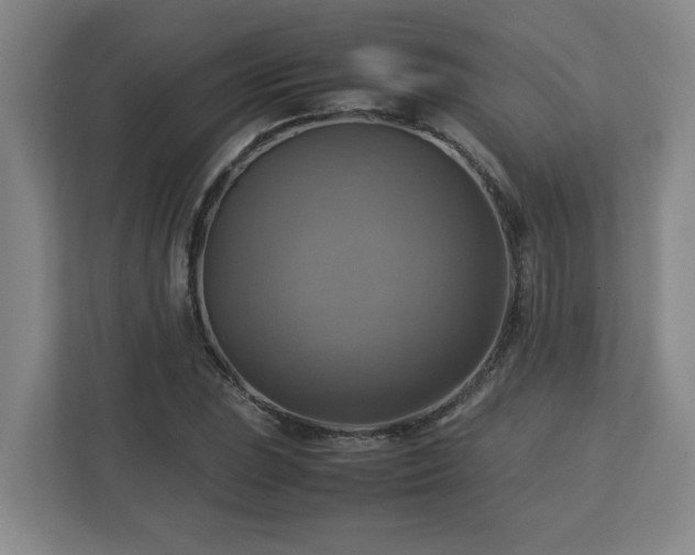 X0000113111023200909041242