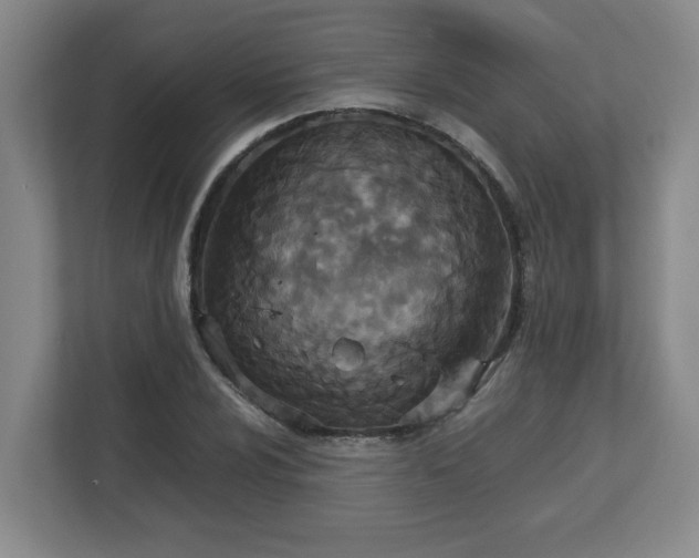 X0000113111024200909041242