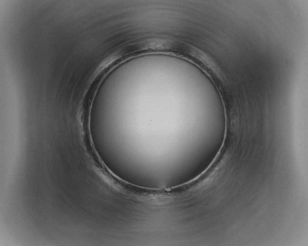 X0000113111026200909041242