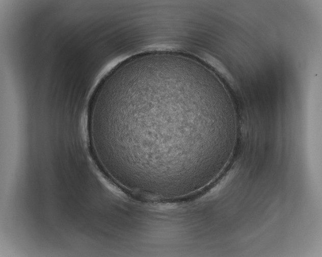 X0000113111030200909041242