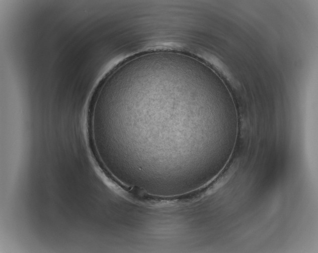 X0000113111038200909041242