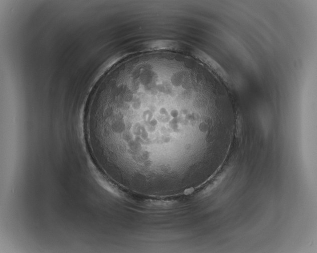 X0000113111039200909041242