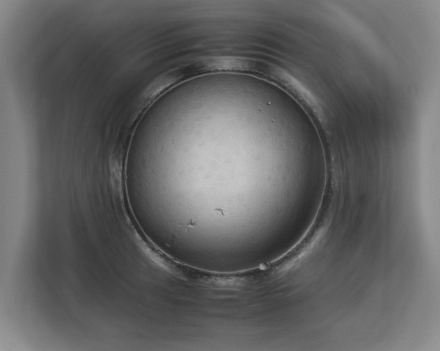 X0000113111041200909041242