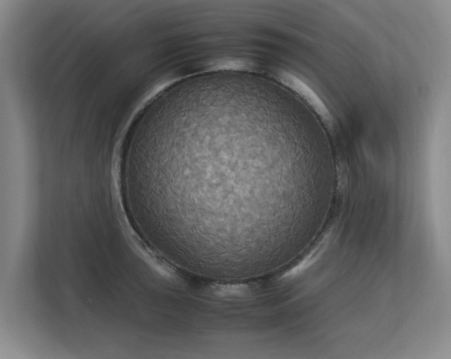 X0000113111043200909041242