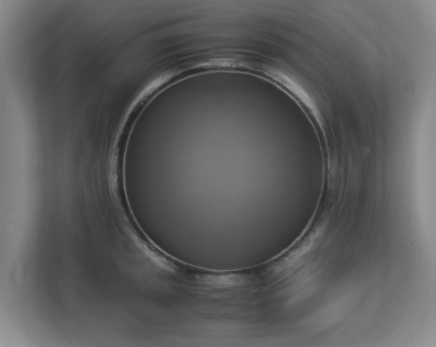 X0000113111045200909041242