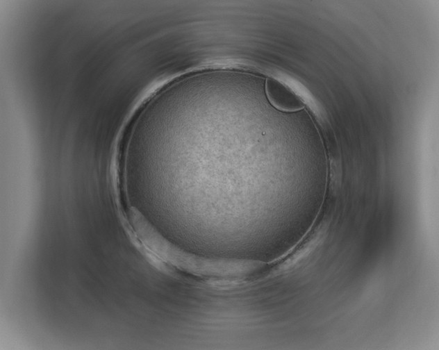 X0000113111046200909041242