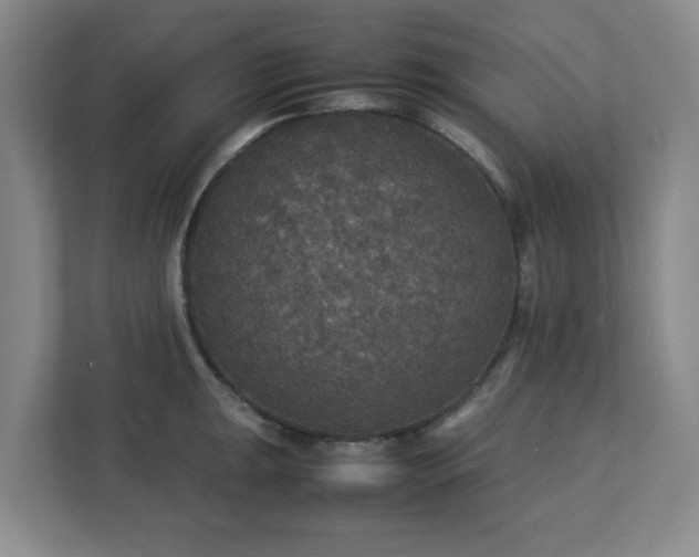 X0000113111047200909041242
