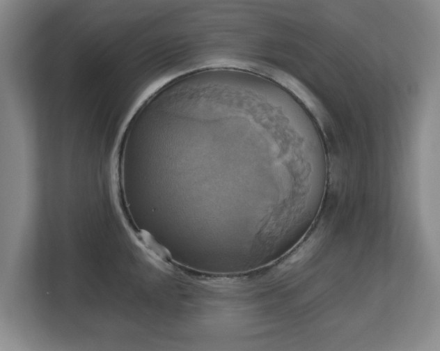 X0000113111048200909041242