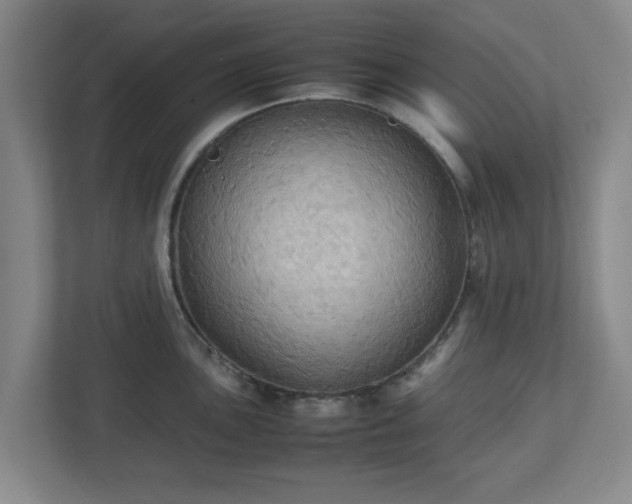 X0000113111051200909041242