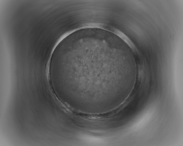 X0000113111052200909041242