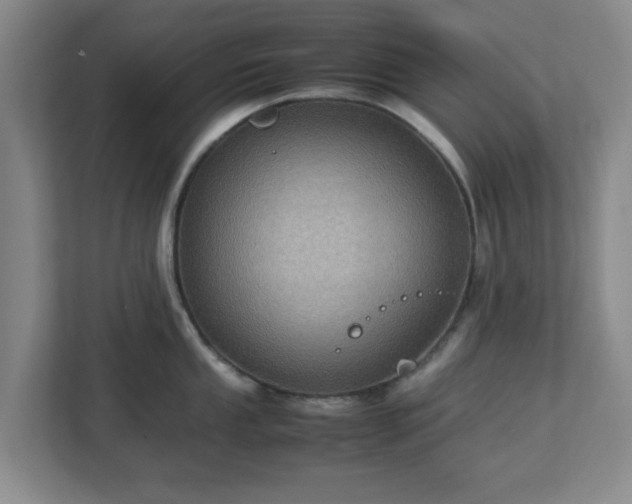 X0000113111053200909041242