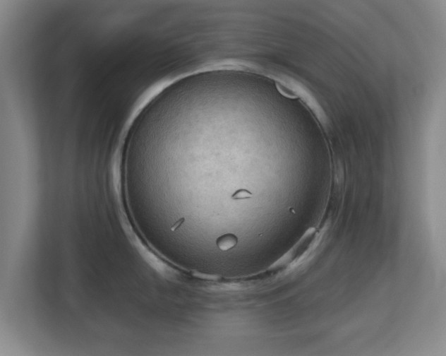 X0000113111054200909041242