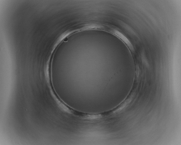 X0000113111055200909041242