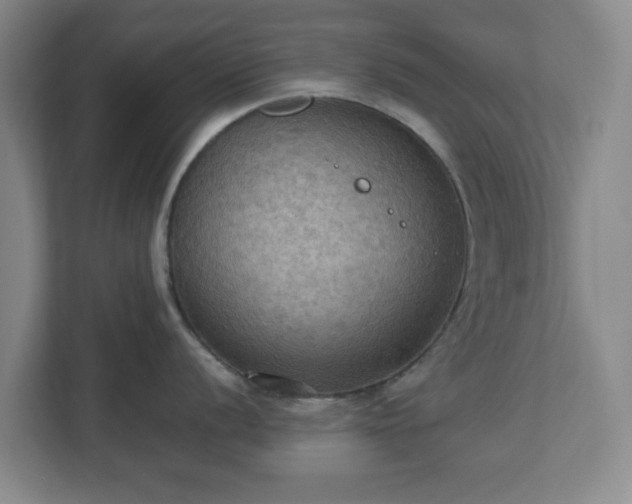 X0000113111056200909041242