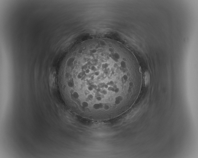 X0000113111059200909041241