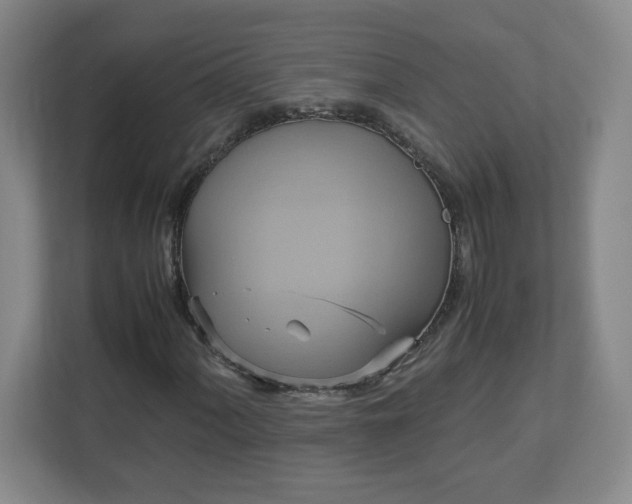X0000113111060200909041241